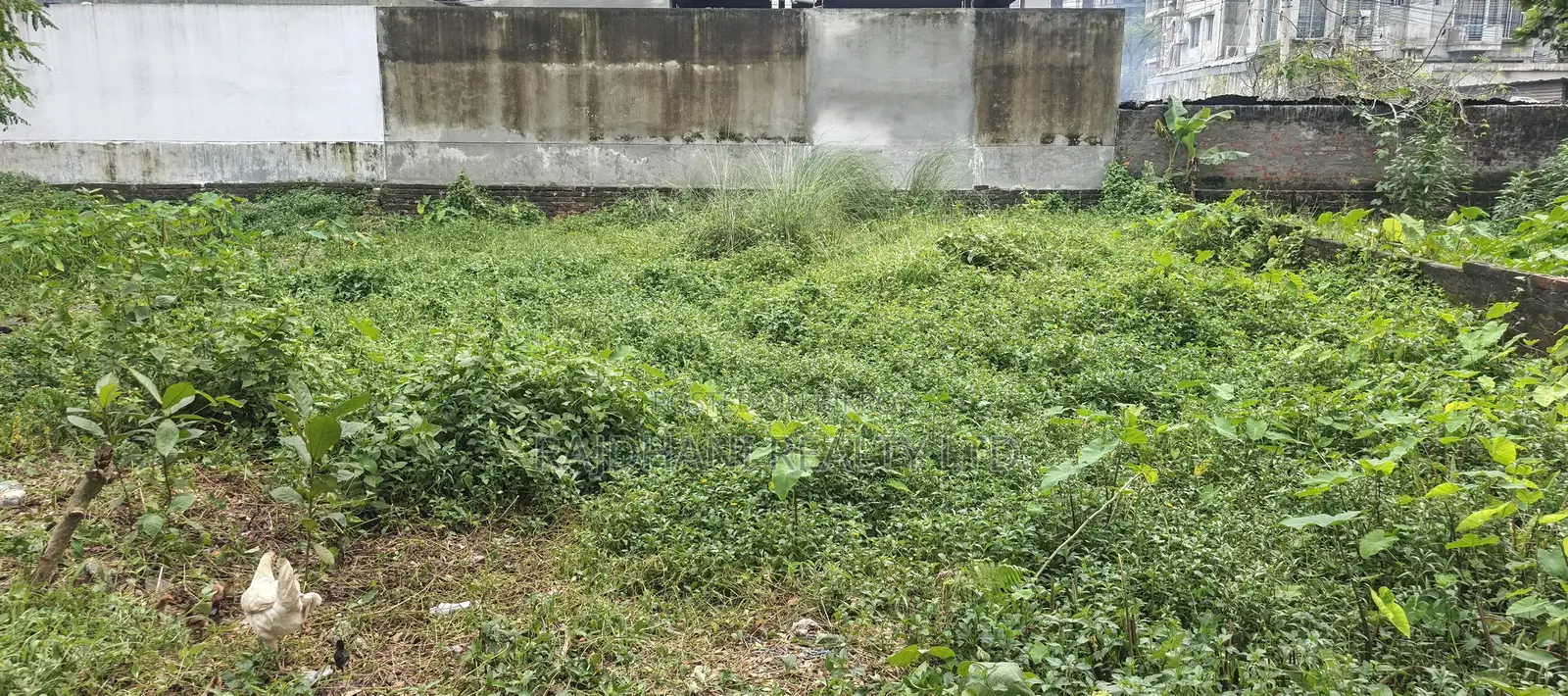এন-এক্স ব্লক, ১০ কাঠা প্লট বিক্রয় বসুন্ধরা, বারিধারা।