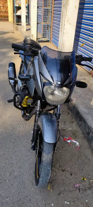 Bajaj Pulsar 150 2011 Silver