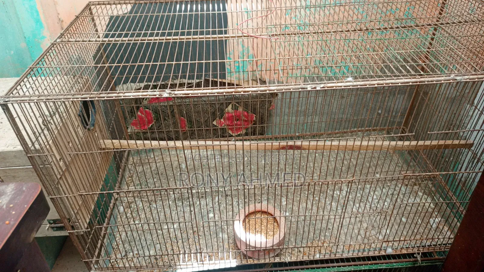 Bird Cage