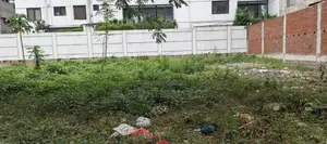 P ব্লক, 5 কাঠা প্লট বিক্রয় বসুন্ধরা, বারিধারা।