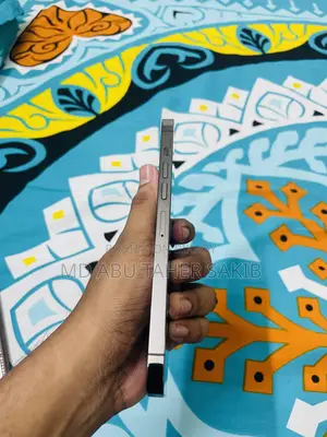 অ্যাপল আইফোন ১৩ প্রো ম্যাক্স ২৫৬ জিবি গ্রাফাইট