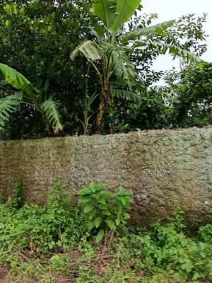 Block-P, South Facing 60 Feet Road