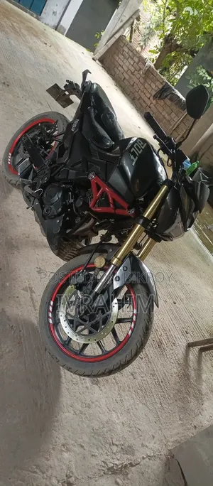 Runner Bolt 165R 2021 Black