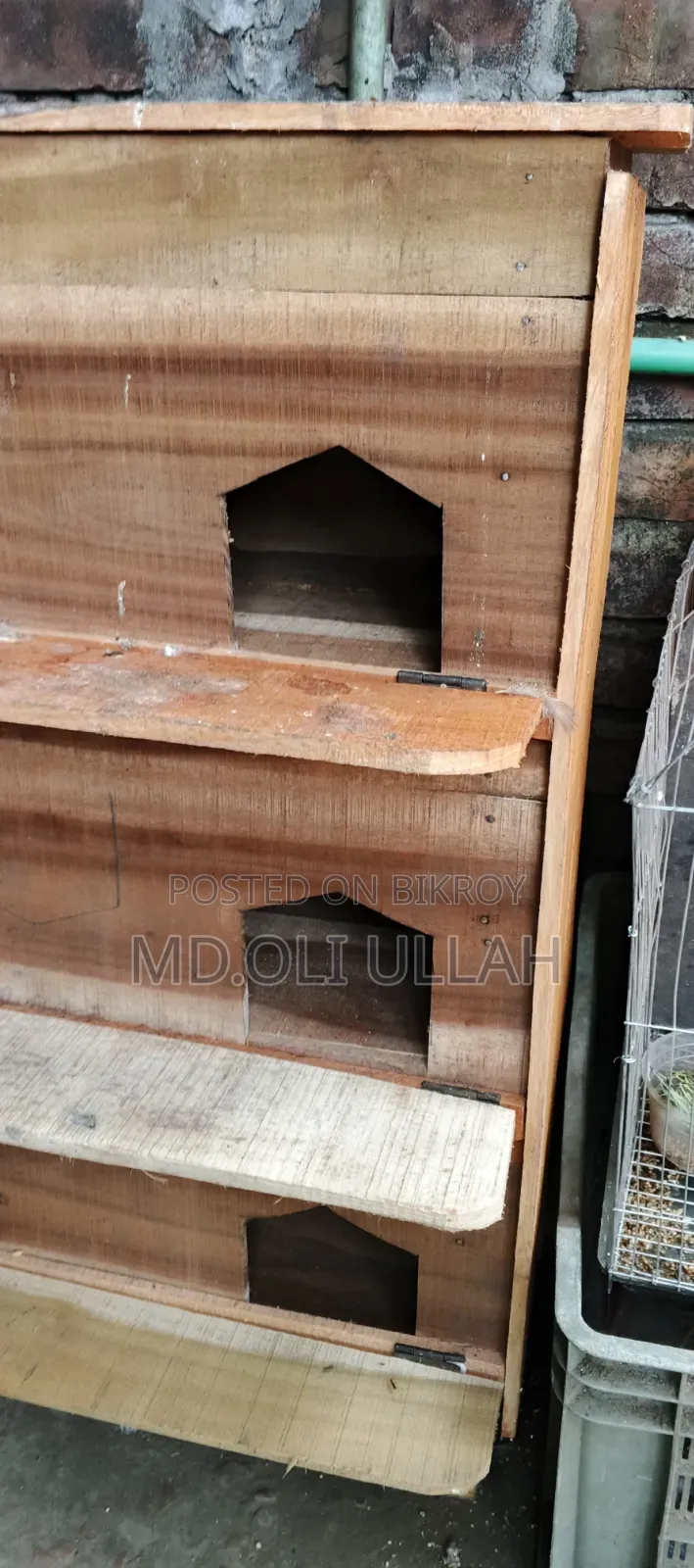 12-Compartment Pigeon Loft