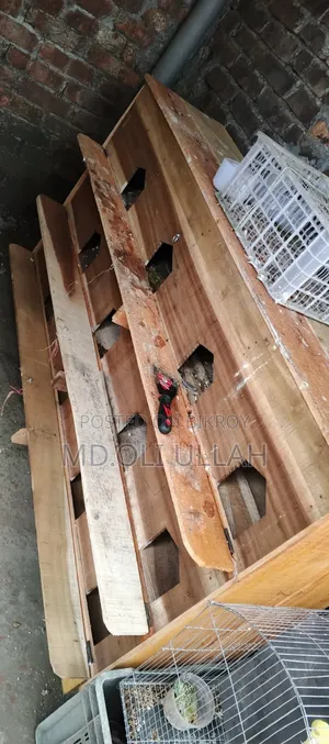 12-Compartment Pigeon Loft
