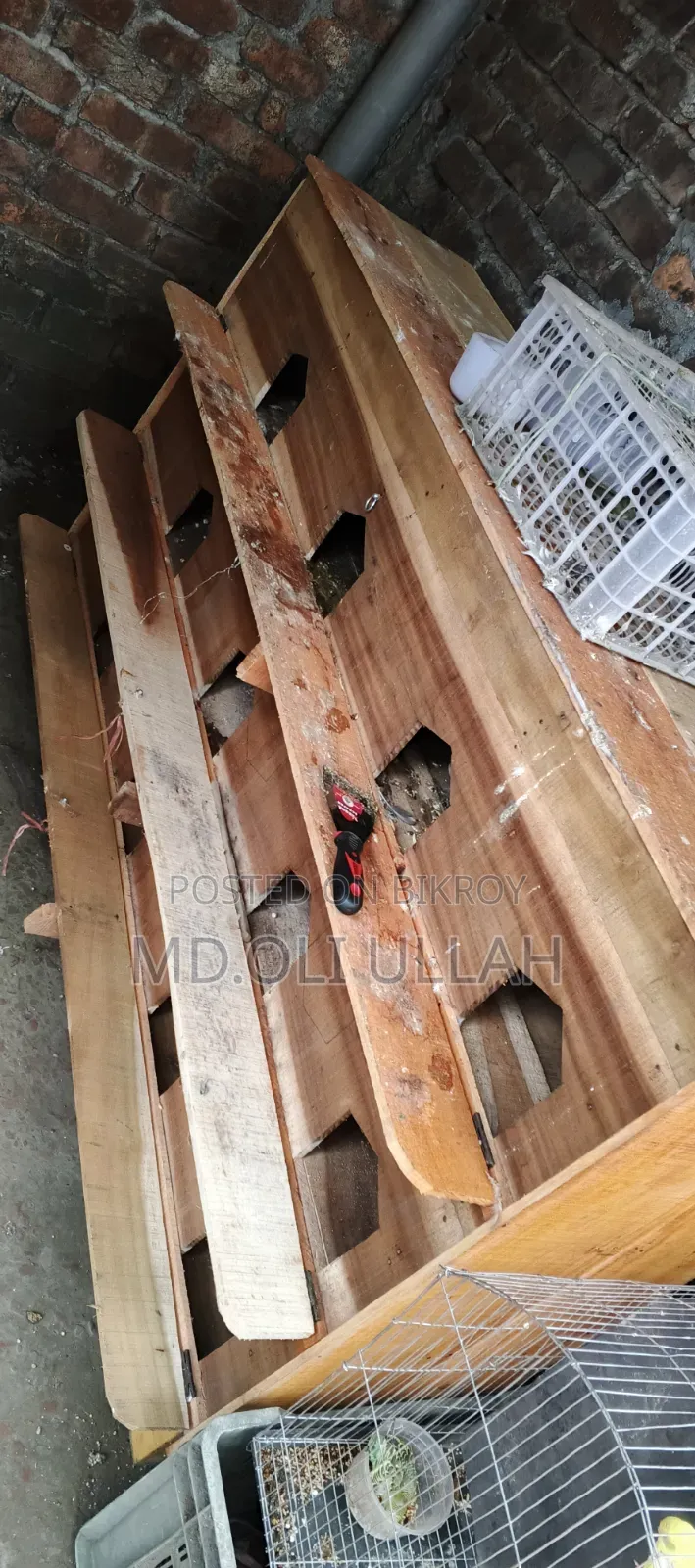 12-Compartment Pigeon Loft