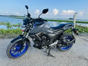 Yamaha FZS V3 2025 Gray
