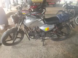 ইন্ডিয়ান ২০১৭ সিলভার
