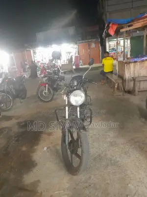 ইন্ডিয়ান ২০১৭ সিলভার
