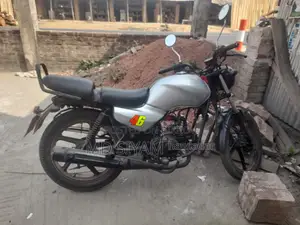 ইন্ডিয়ান ২০১৭ সিলভার
