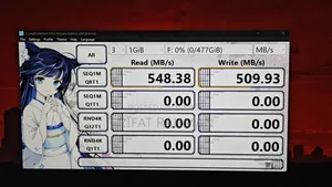 TRM S100 Sata SSD