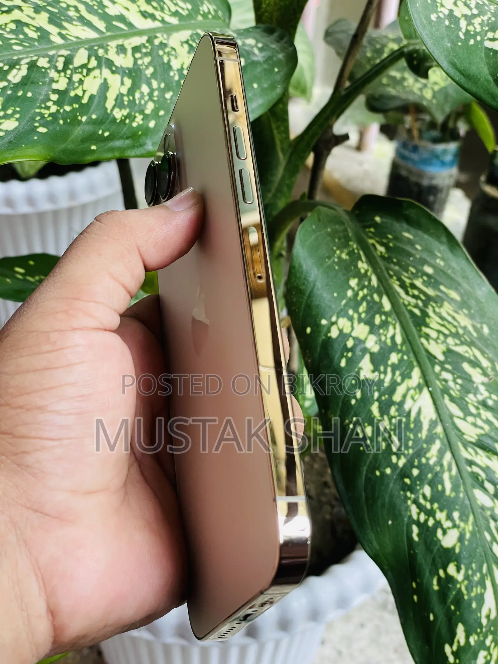 অ্যাপল আইফোন ১৩ প্রো ম্যাক্স ১২৮ জিবি গোল্ড