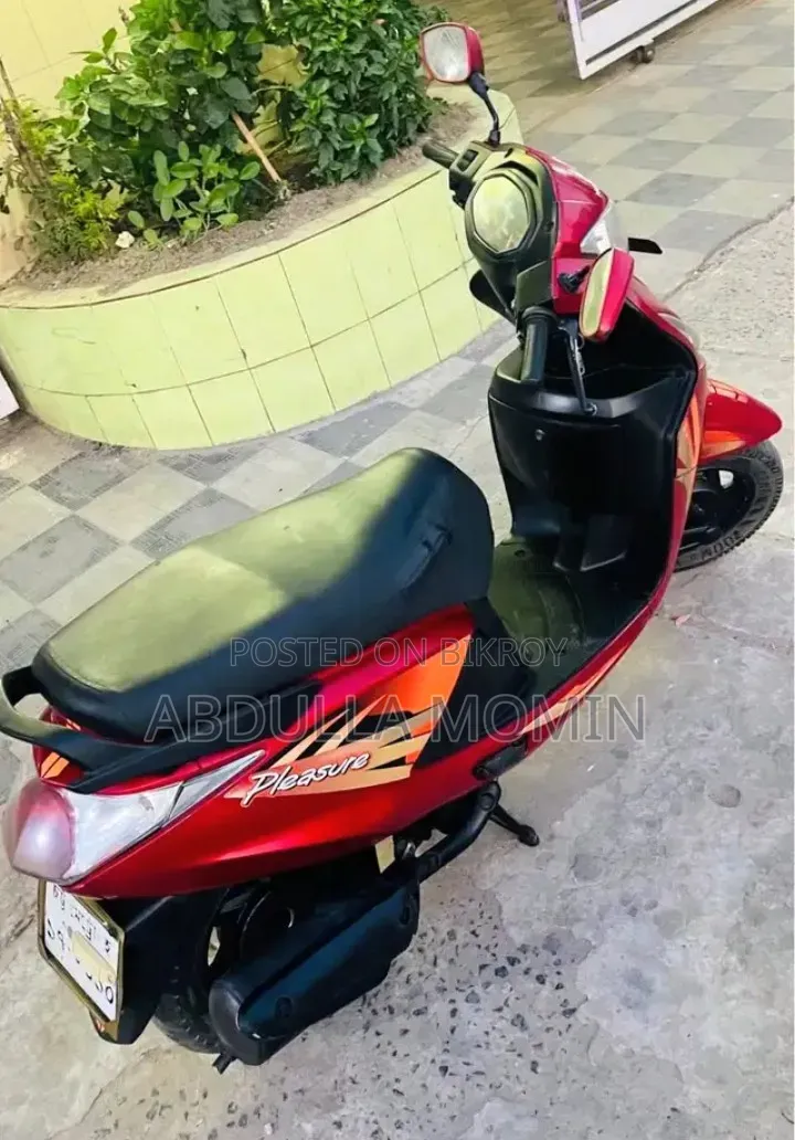 হিরো প্লেজার ২০১৯ রেড