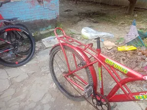 এভন রেফ সাইকেল