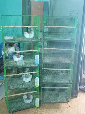 Two 4-story cages of 18 inches by 12 inches size will be sold.