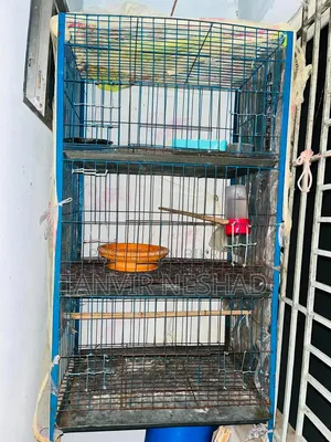 Cage For Sale