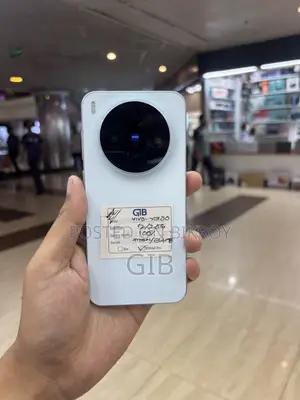 ভিভো এক্স৩০০ ২৫৬ জিবি ব্লু
