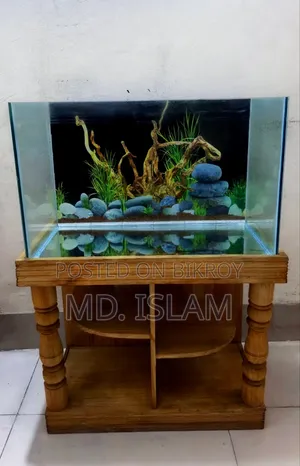 Aquarium Full Set-Up