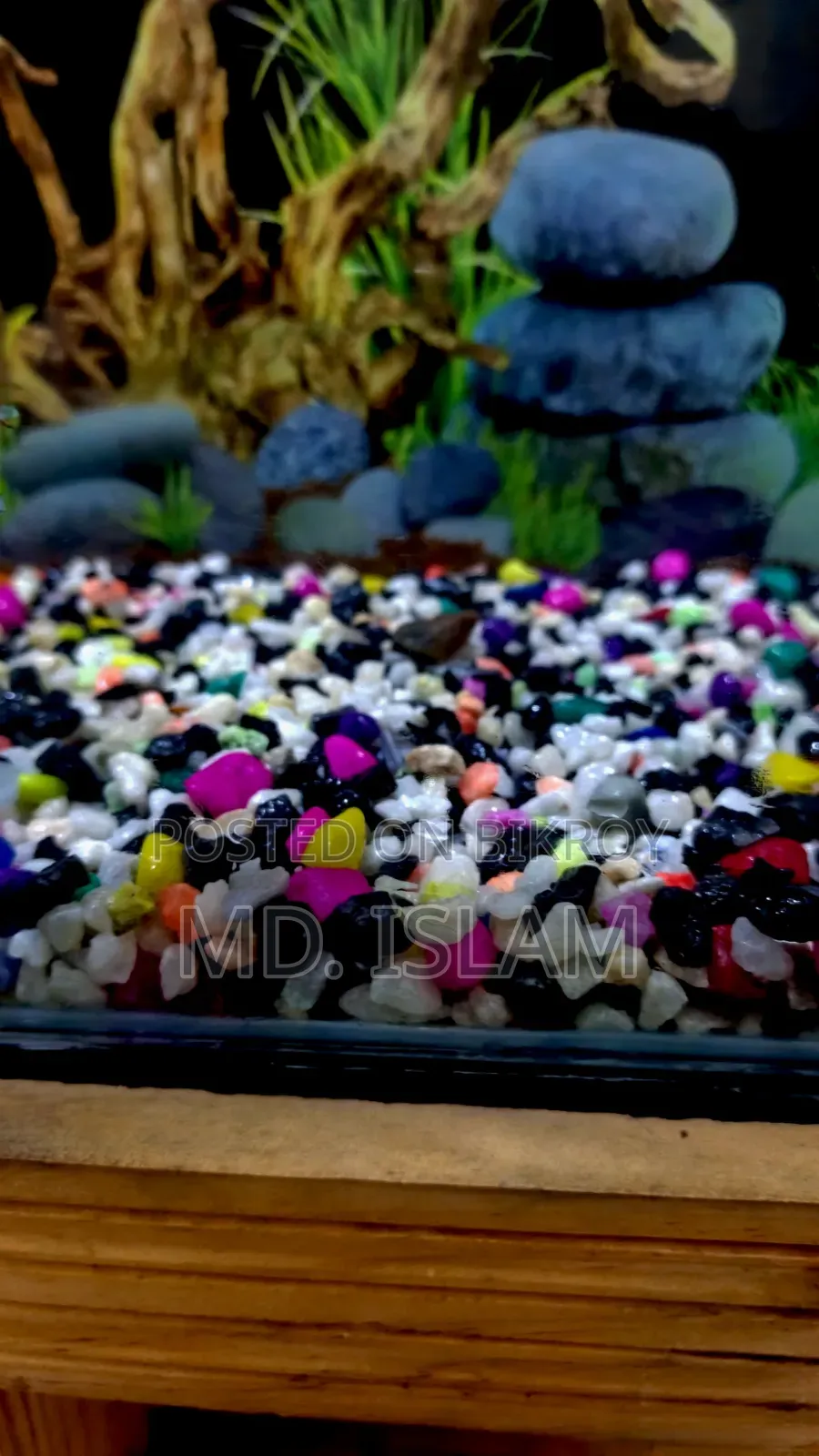 Aquarium Full Set-Up