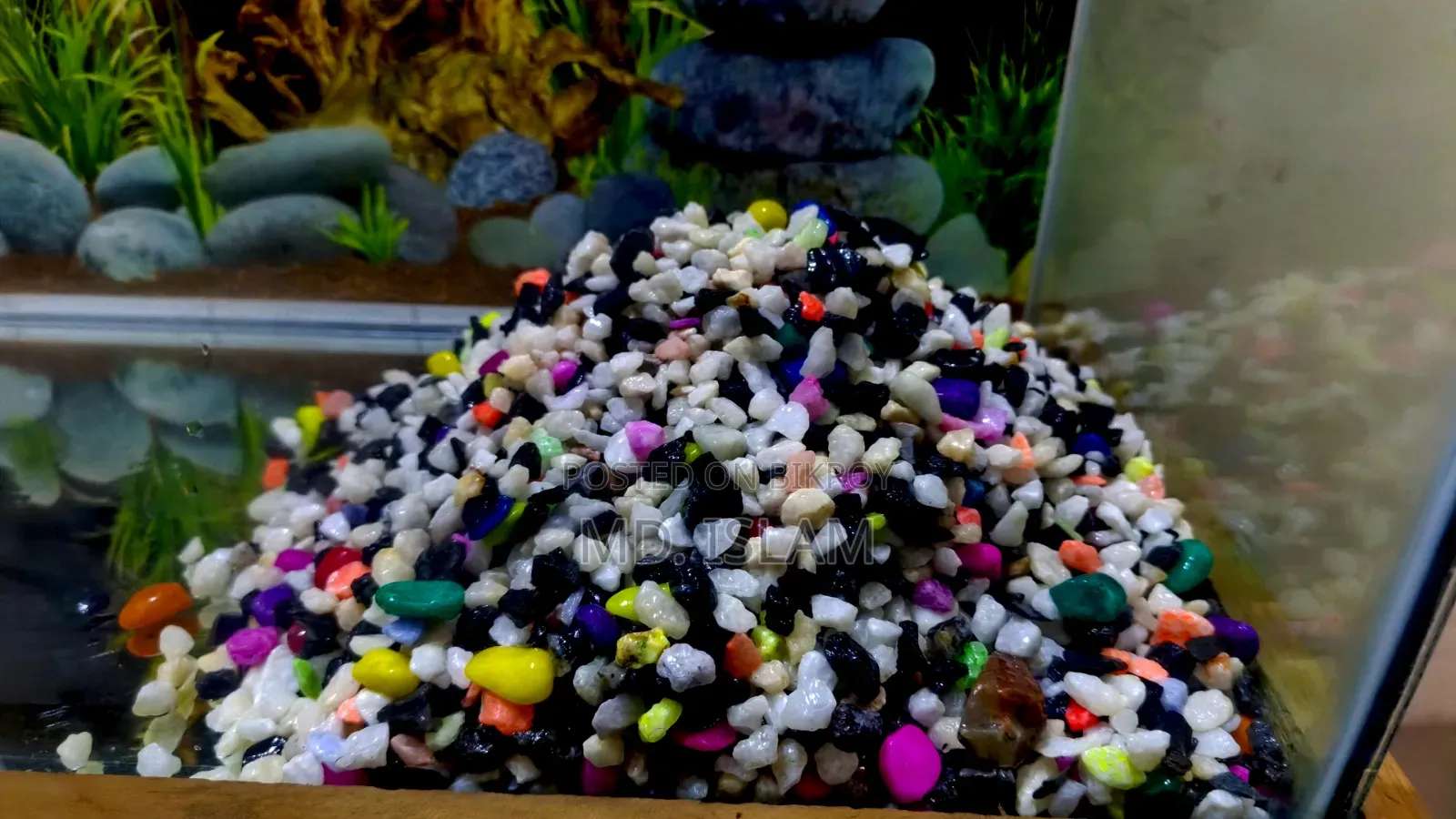 Aquarium Full Set-Up