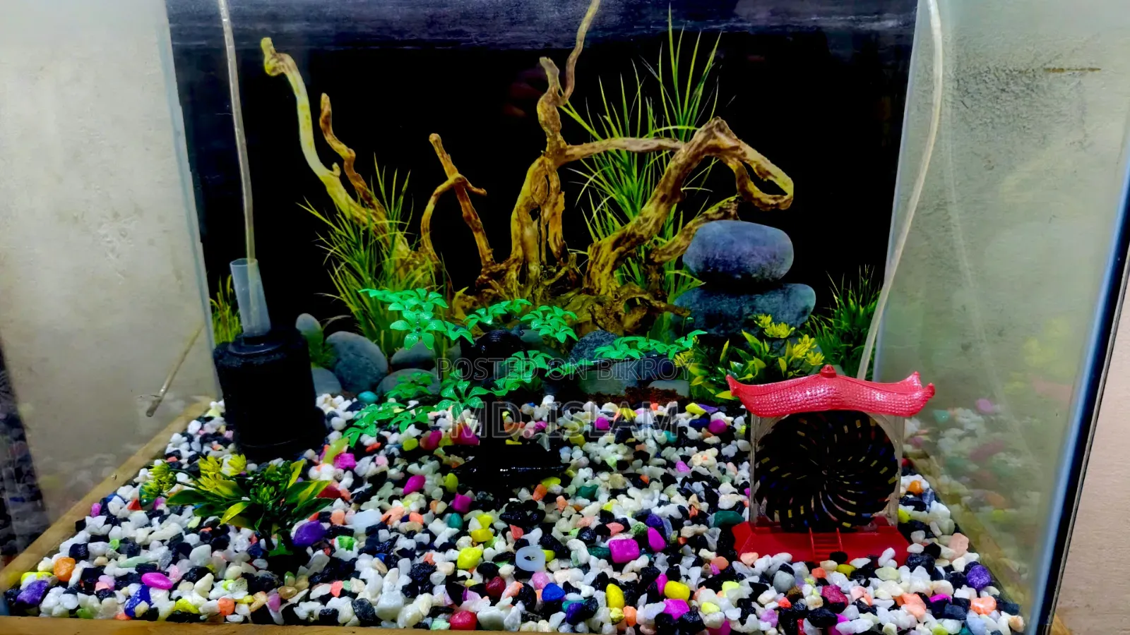 Aquarium Full Set-Up