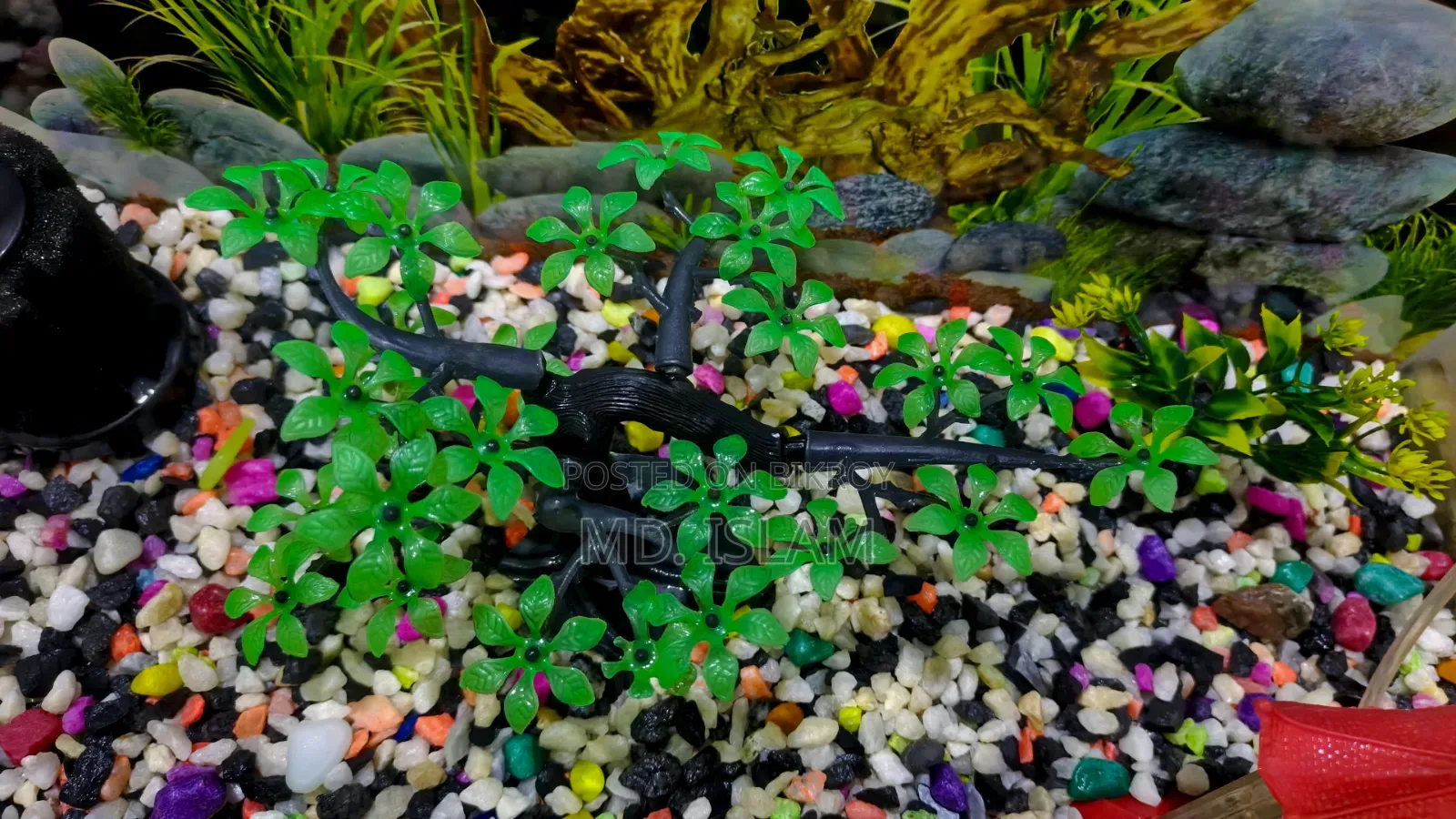 Aquarium Full Set-Up