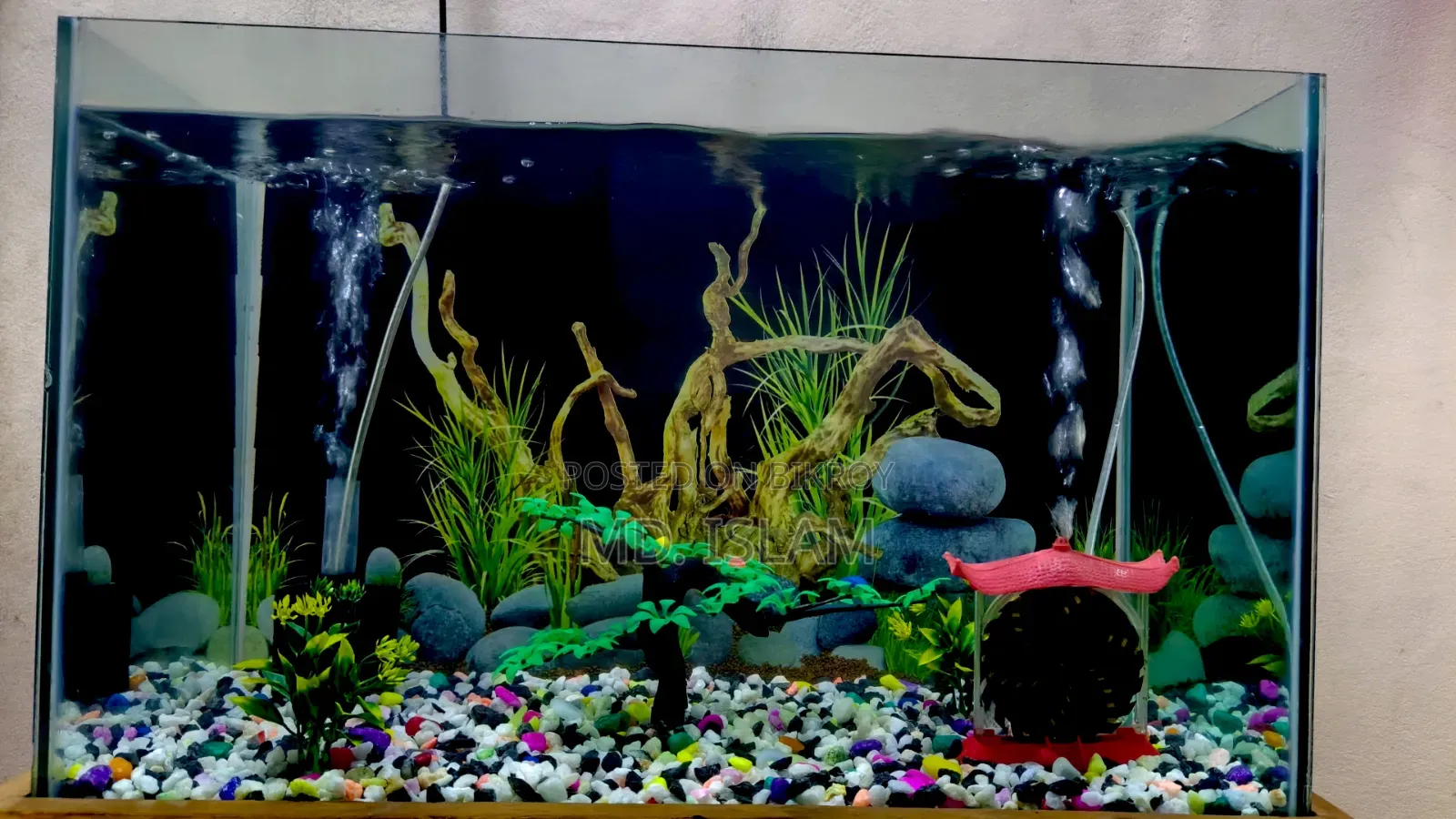Aquarium Full Set-Up