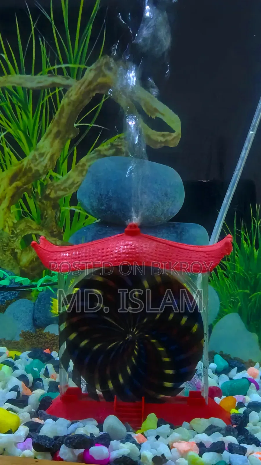 Aquarium Full Set-Up