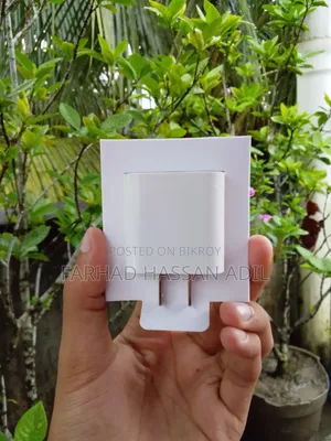 20W Adapter