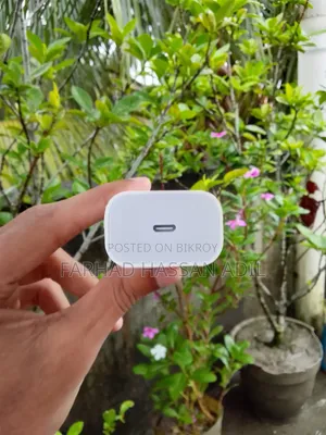 20W Adapter