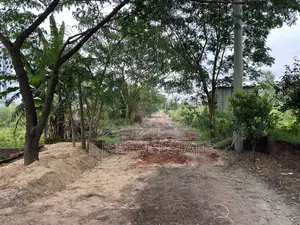 ৪ কাটা, এন ব্লক, ১ম অংশ, দক্ষিণমুখী, প্লট বিক্রি বসুন্ধরা