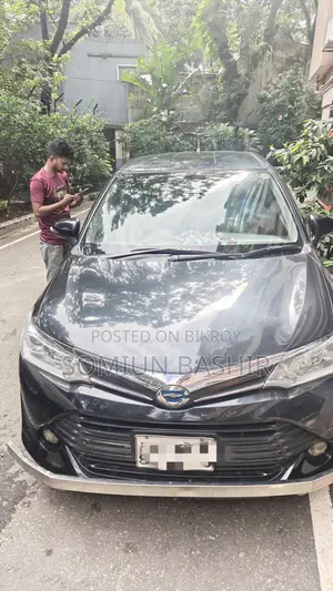 Toyota Corolla Fielder 2015 Black