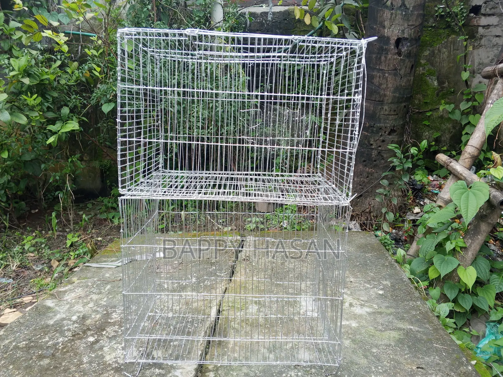 Bird Cage