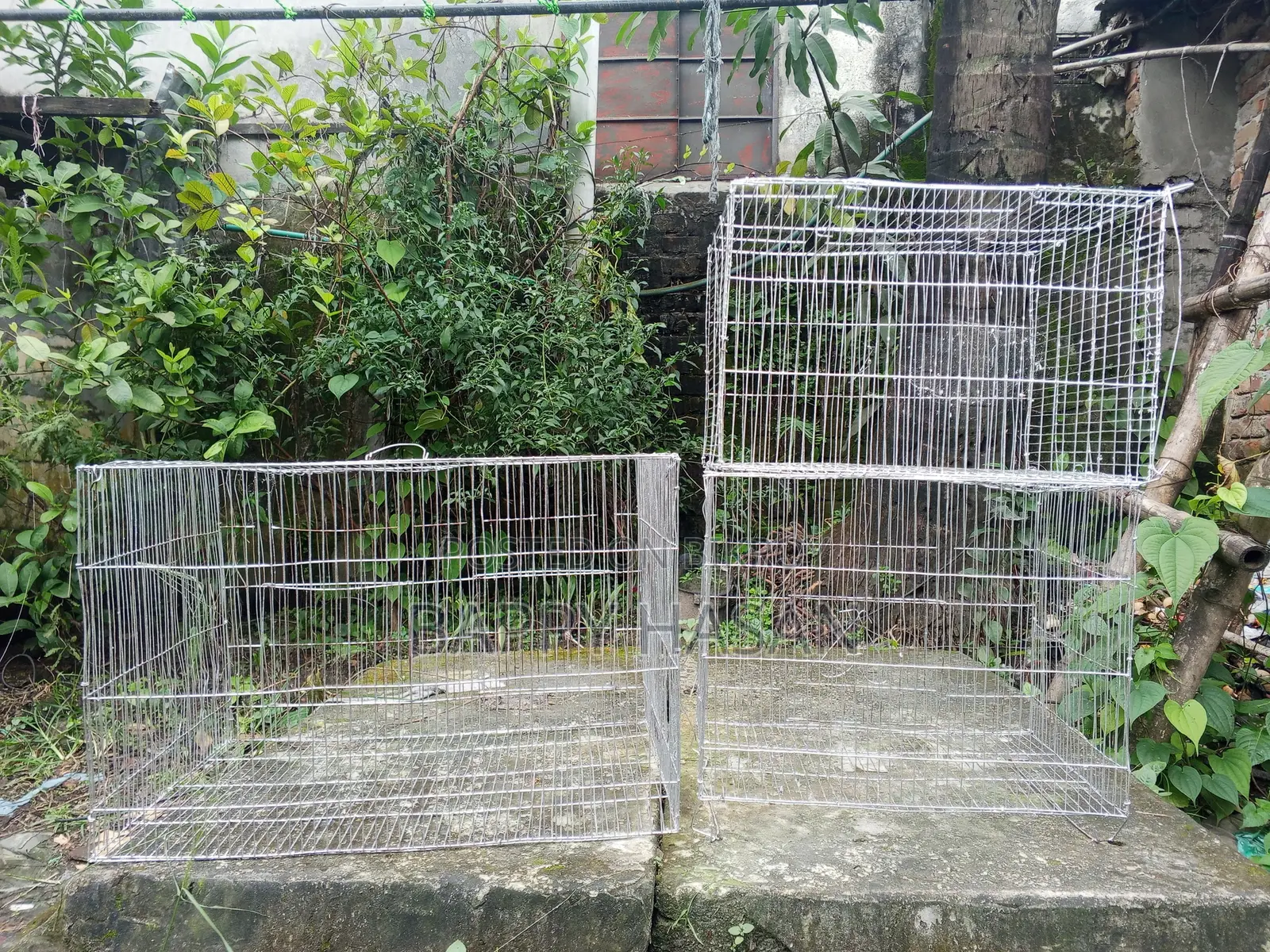 Bird Cage