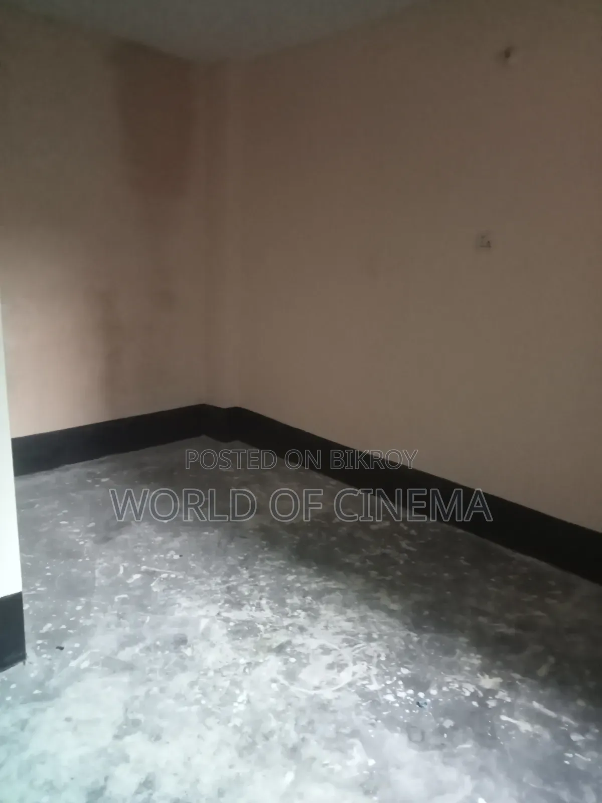 Mini Flat in Bangshal for sale