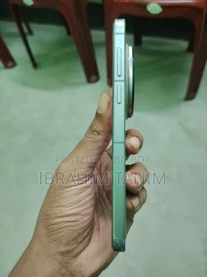 ভিভো এক্স৩০০ প্রো ৫১২ জিবি ব্রোঞ্জ