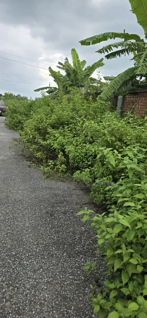 রাজউক পূর্বাচল সেক্টর-১১, পূর্বমুখী ৫ কাঠা বরাদ্দকৃত প্লট বিক্রি