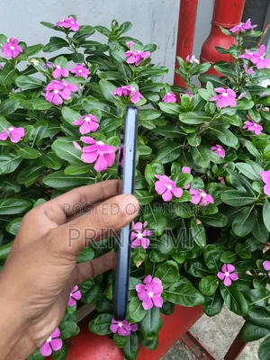 Tecno Spark Go 64 GB Black