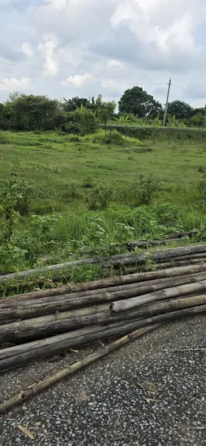 রাজউকপূর্বাচল সেক্টর ২৪,রোড -৩১৭,ব্যবসায়ীক্যাটাগরি৭.৫কাঠাপ্লট বিক্রি
