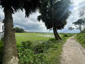 পূর্বাচল ল্যান্ড প্রিমিয়াম প্রজেক্ট