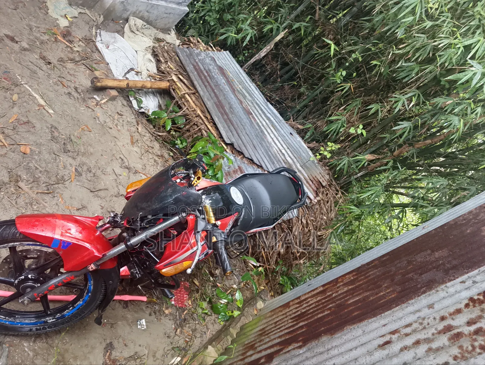 TVS 2010 Red