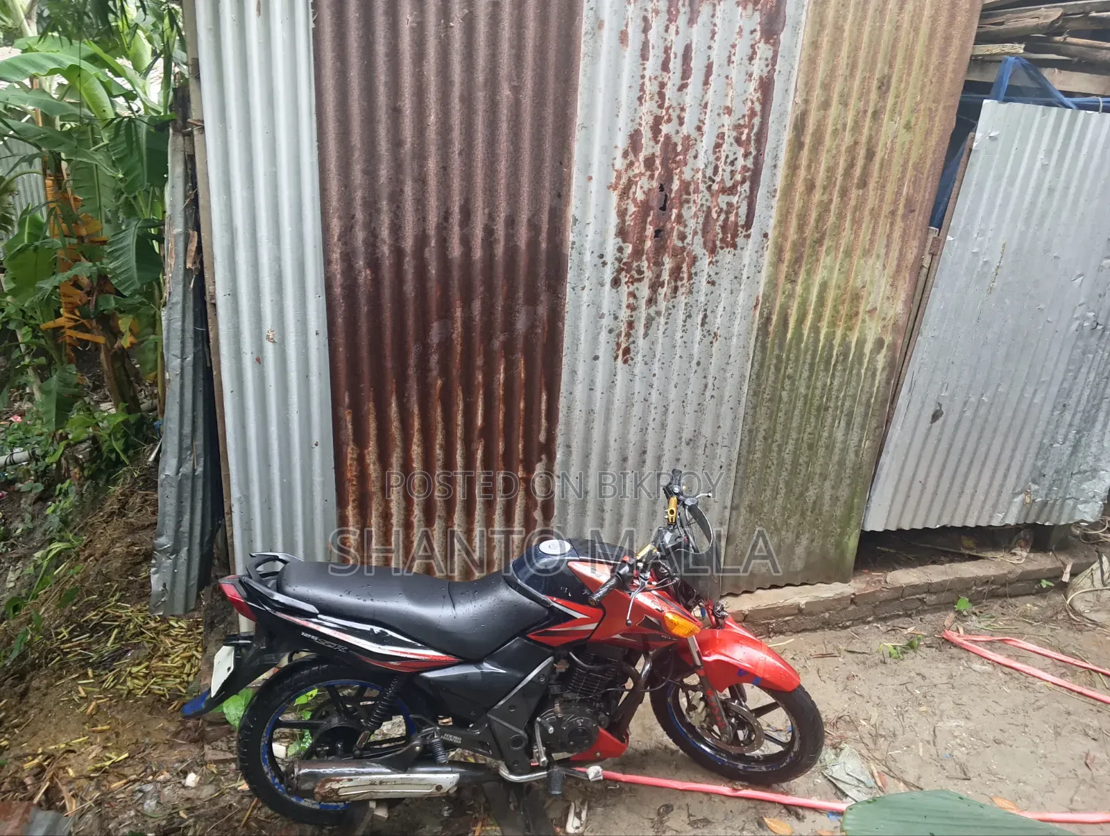 TVS 2010 Red