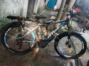 ইলেকট্রিক বাইসাইকেল