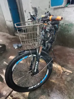ইলেকট্রিক বাইসাইকেল