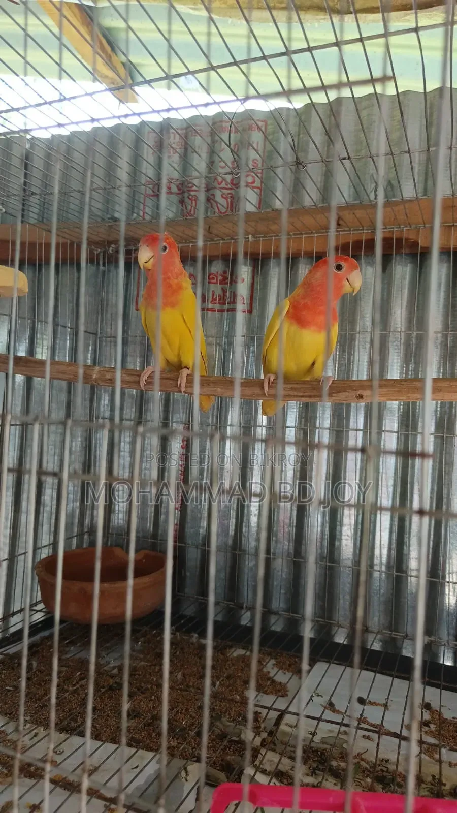 লাভবার্ড বিক্রয়