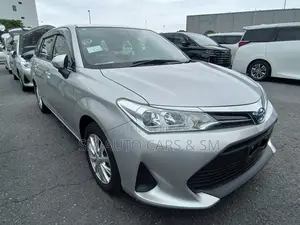 Toyota Corolla Fielder 2021 Silver