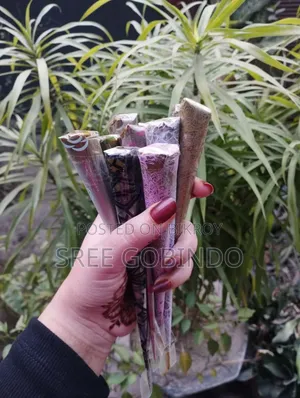 অর্গানিক হেনা মেহেদী। অর্গানিক হেনা মেহেদী
