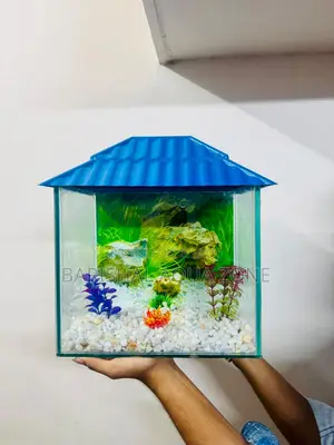 নতুন অ্যাকুরিয়াম