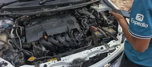 টয়োটা অ্যালিয়ন ২০১০ পার্ল