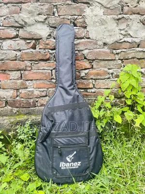 রোজেন এজি-৪০ একাউস্টিক গিটার বিক্রির জন্য!